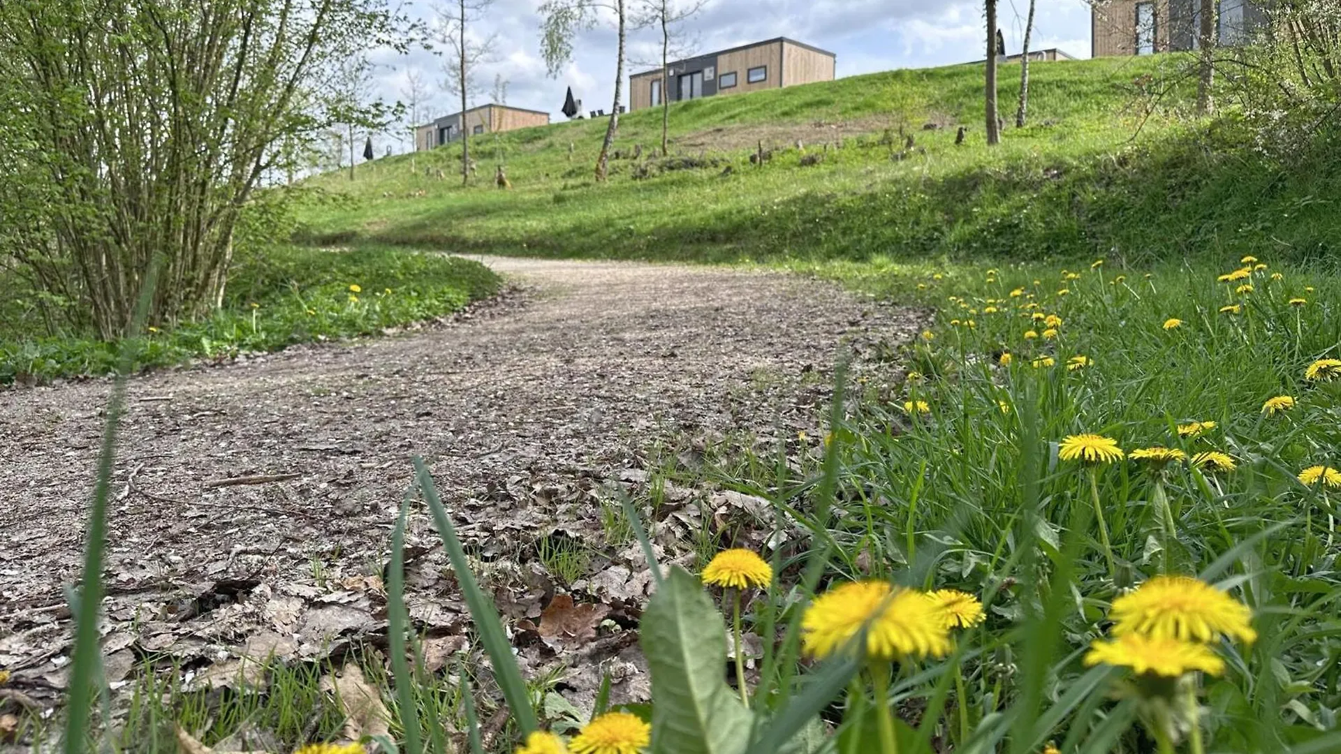 Feriendorf Seeblick - Tiny Chalets Direkt Am See Neunburg vorm Wald